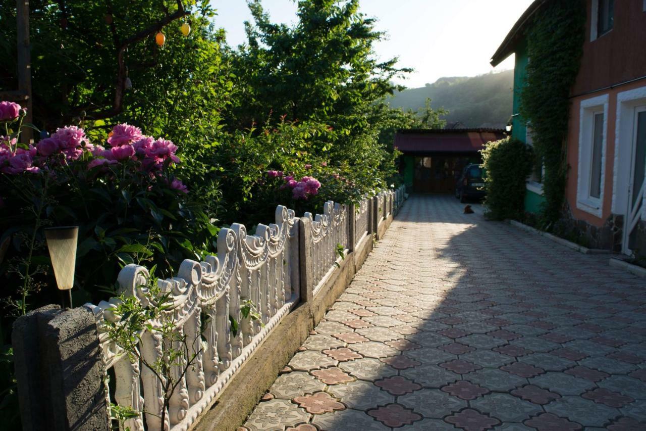 Casa Ana Hotel Biertan Exterior photo