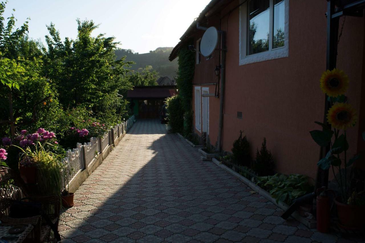 Casa Ana Hotel Biertan Exterior photo
